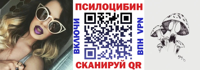 Псилоцибиновые грибы MAGIC MUSHROOMS  Черемхово 